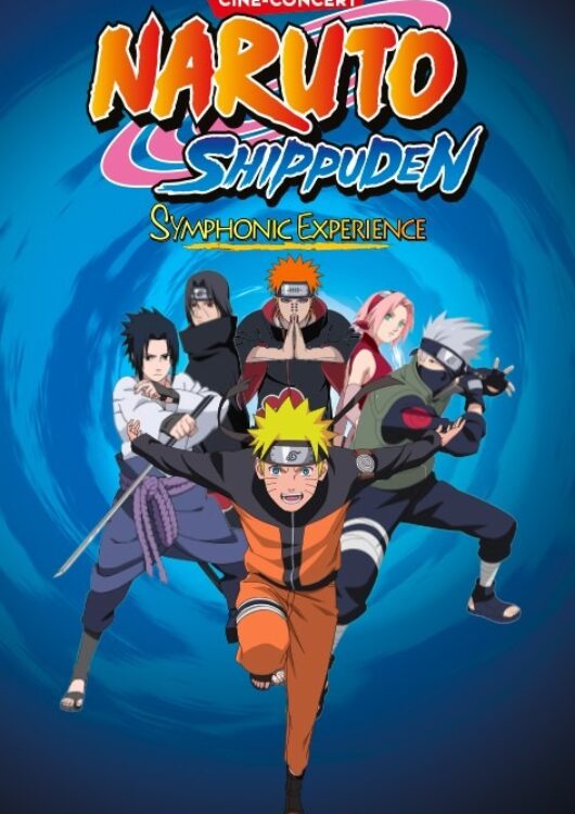 Naruto Shippuden Le 29 nov 2025